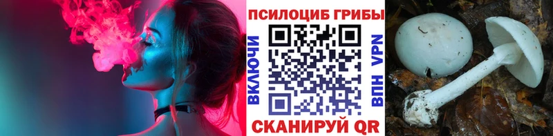 Галлюциногенные грибы Cubensis  OMG зеркало  Абдулино 